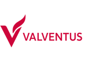 Valventus - Software Development